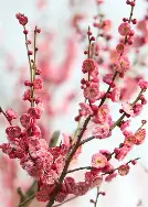 od体育官网-梅斯主教练公开赞扬球队表现,励志向前